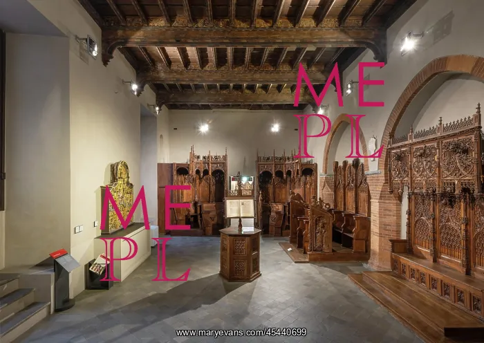 : Sala Staffarda, Palazzo Madama : Sala Staffarda, Palazzo Madama