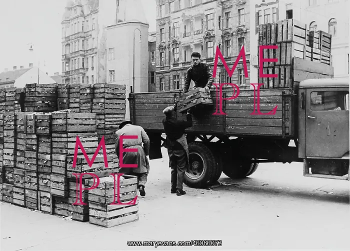: Salad from Neusiedel is transported. About 1960 : Salad from Neusiedel is transported. About 1960