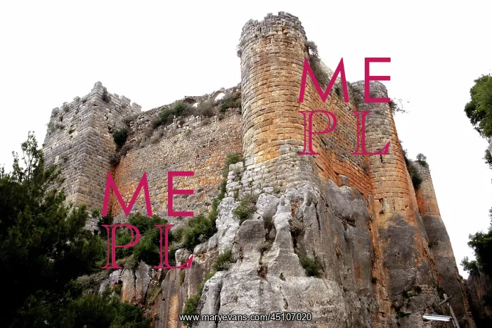 : Saladin's Castle, Syria : Saladin's Castle, Syria