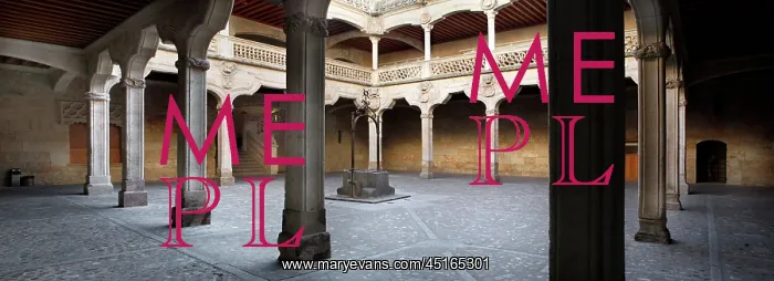 : Salamanca. Panoramic view of courtyard, Casa de las Conchas : Salamanca. Panoramic view of courtyard, Casa de las Conchas