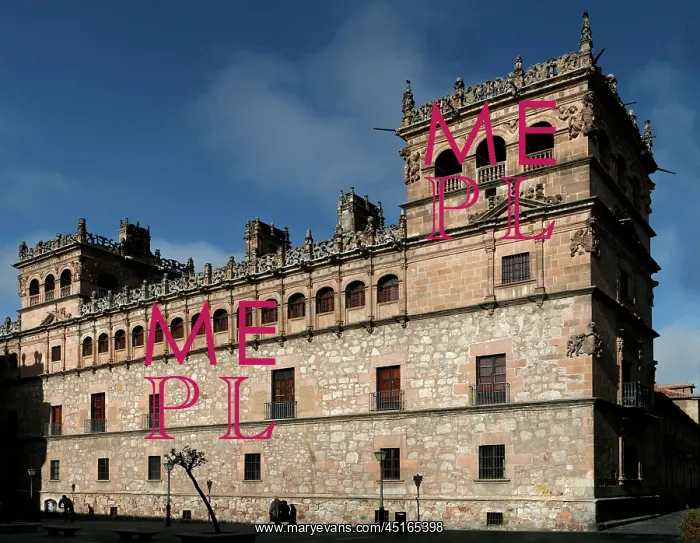 : Salamanca. Low angle view of Monterrey Palace : Salamanca. Low angle view of Monterrey Palace