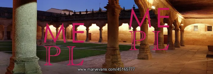 : Salamanca. Panoramic view of Cloister, Escuelas Menores : Salamanca. Panoramic view of Cloister, Escuelas Menores