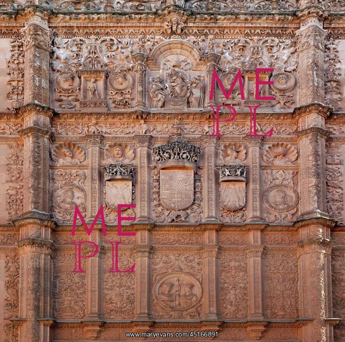 : Salamanca. Detail of carvings, Patio de Escuelas : Salamanca. Detail of carvings, Patio de Escuelas