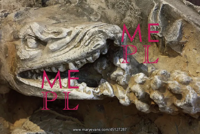: Salamander, Chateau Royal de Blois, Loir-et-Cher, France : Salamander, Chateau Royal de Blois, Loir-et-Cher, France