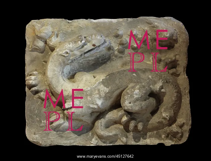 : Salamander, Chateau Royal de Blois, Loir-et-Cher, France : Salamander, Chateau Royal de Blois, Loir-et-Cher, France