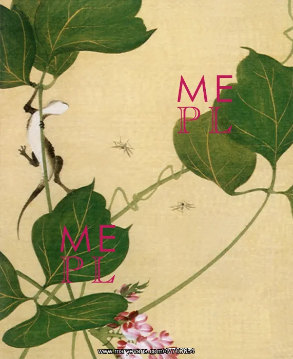  : Salamander on Plant