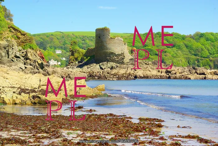 : Salcombe Castle, Salcombe, Devon : Salcombe Castle, Salcombe, Devon