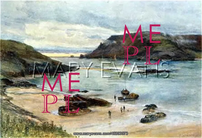 : SALCOMBE / DEVON C1910