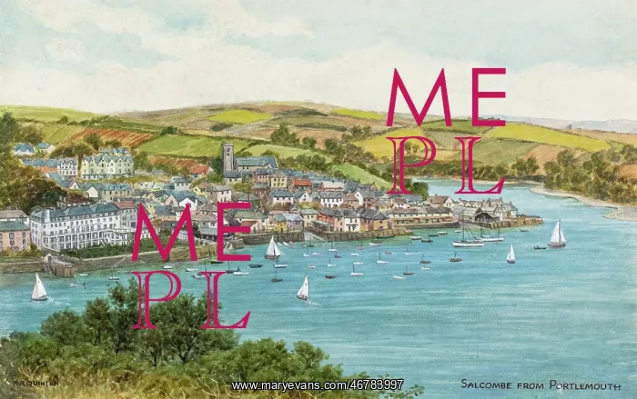 : Salcombe, Devon, viewed from Portlemouth : Salcombe, Devon, viewed from Portlemouth