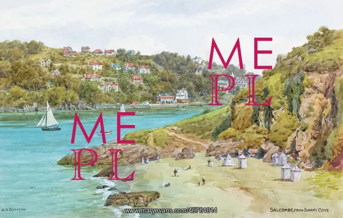 : Salcombe, Devon, viewed from Sunny Cove : Salcombe, Devon, viewed from Sunny Cove
