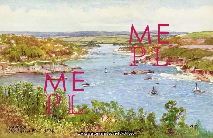 : Salcombe Estuary from Bolt Head, Devon : Salcombe Estuary from Bolt Head, Devon