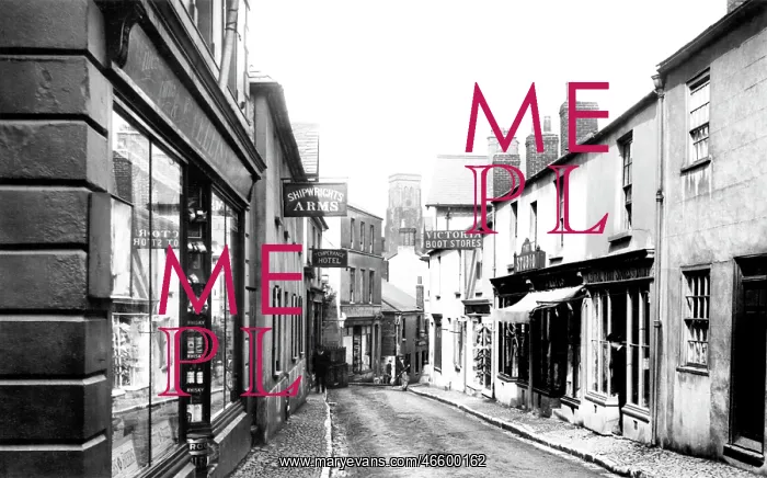  : Salcombe, Fore Street 1907