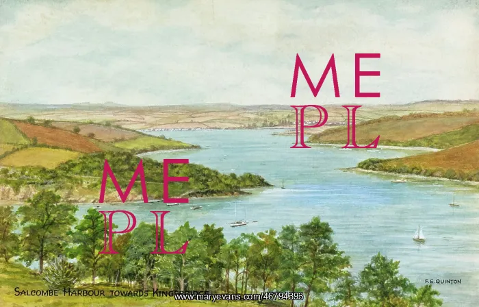 : Salcombe Harbour, Devon, looking towards Kingsbridge : Salcombe Harbour, Devon, looking towards Kingsbridge