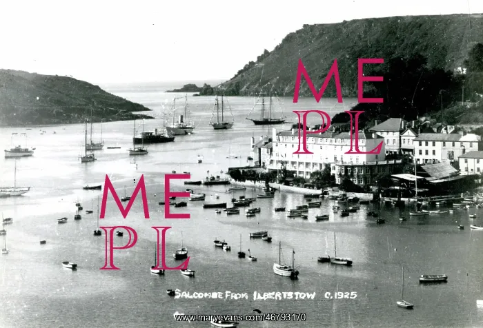  : Salcombe from Ilbertstow, Devon