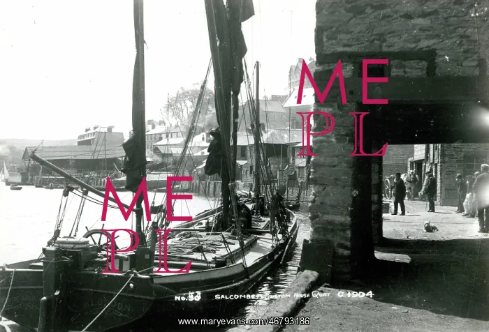  : Salcombe Quay and Custom House, Devon