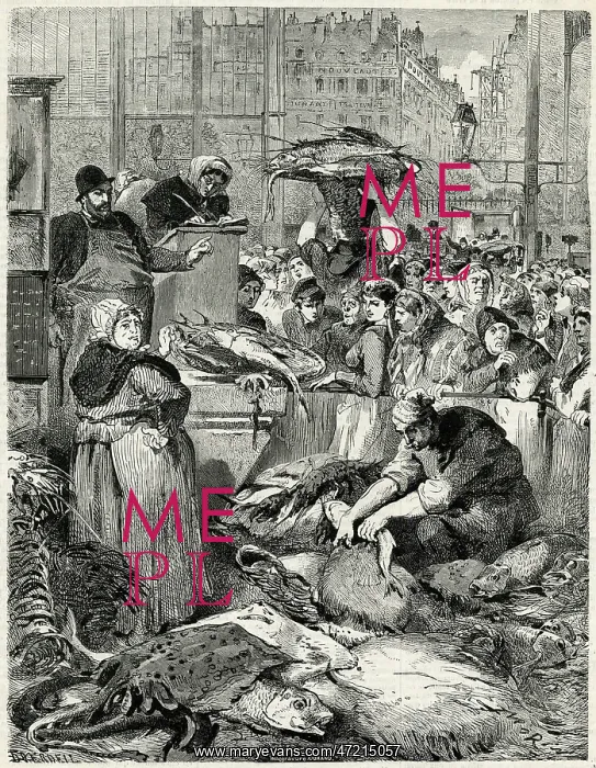 : Sale of the fish 1869 : Sale of the fish 1869