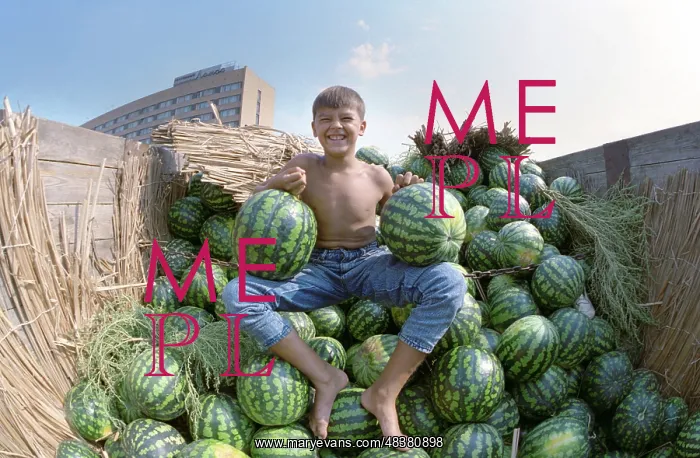 : Sale of watermelons, 1993 : Sale of watermelons, 1993