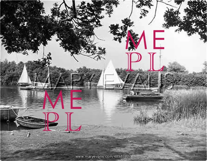 : SALHOUSE BROAD : SALHOUSE BROAD