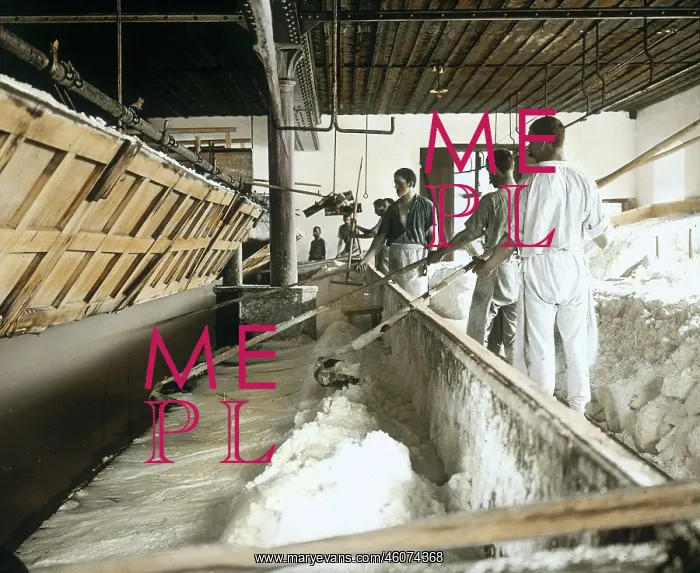 : Saline workers : Saline workers