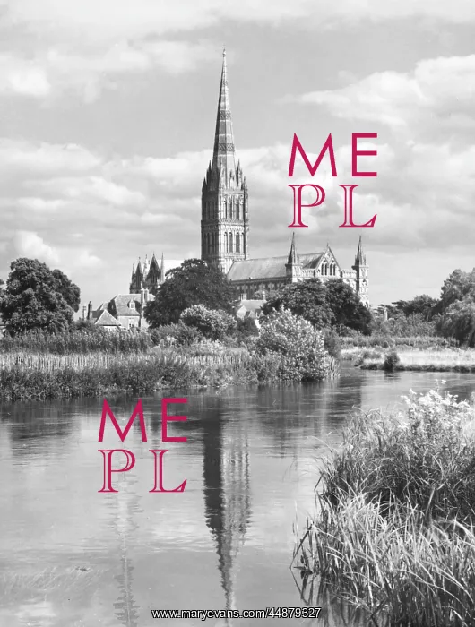 : SALISBURY CATHEDRAL : SALISBURY CATHEDRAL