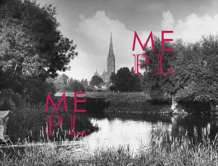 : SALISBURY CATHEDRAL : SALISBURY CATHEDRAL