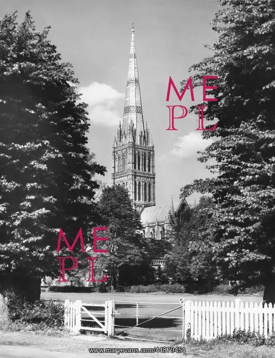 : SALISBURY CATHEDRAL : SALISBURY CATHEDRAL