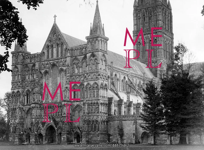 : SALISBURY CATHEDRAL : SALISBURY CATHEDRAL