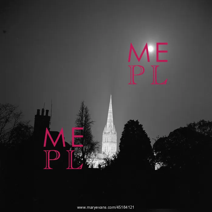 : Salisbury Cathedral : Salisbury Cathedral