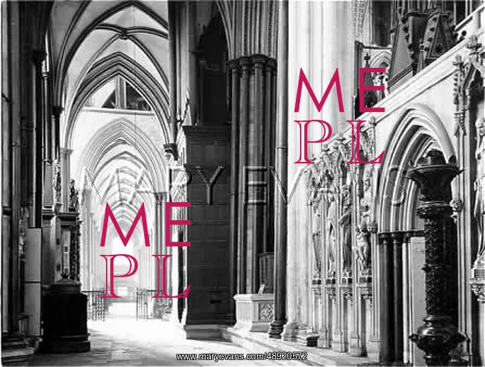 : SALISBURY CATHEDRAL : SALISBURY CATHEDRAL