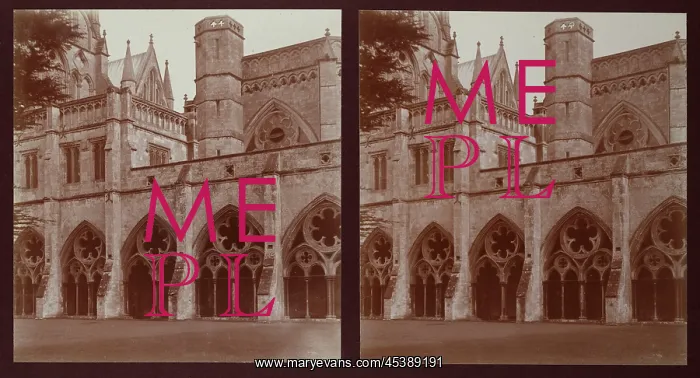 : Salisbury Cathedral, Cloisters, Salisbury, Wiltshire : Salisbury Cathedral, Cloisters, Salisbury, Wiltshire