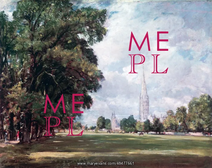 : Salisbury Cathedral from Lower Marsh Close Artist: : Salisbury Cathedral from Lower Marsh Close Artist:
