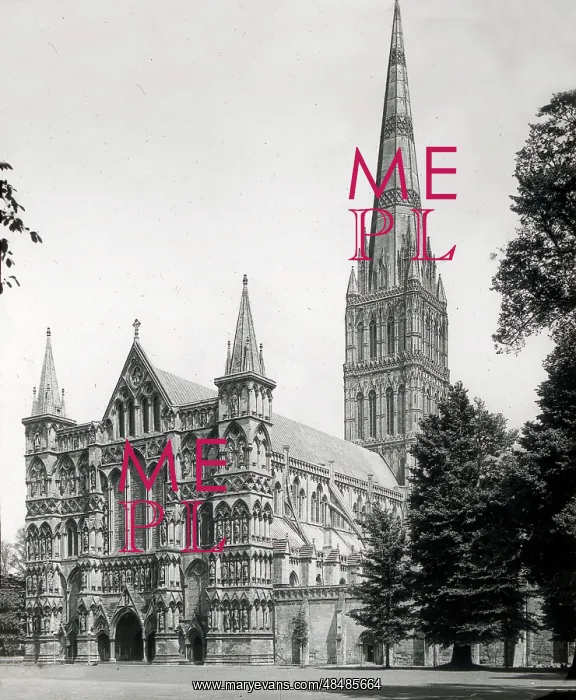 : Salisbury Cathedral, Salisbury, Wiltshire : Salisbury Cathedral, Salisbury, Wiltshire