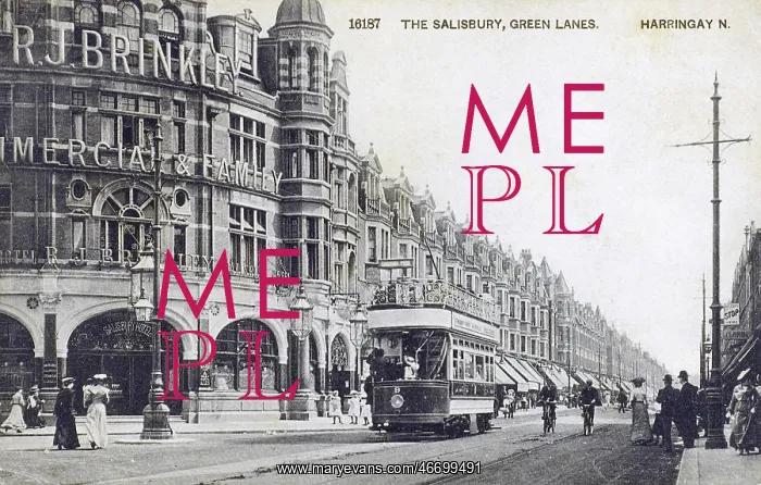 : The Salisbury Hotel pub, Green Lanes, Harringay, London : The Salisbury Hotel pub, Green Lanes, Harringay, London