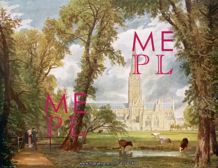 : Salisbury, Wiltshire - Constable : Salisbury, Wiltshire - Constable