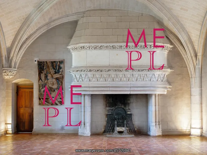 : Salle du Parlement, Chateau du Plessis-Bourre, Ecuille : Salle du Parlement, Chateau du Plessis-Bourre, Ecuille
