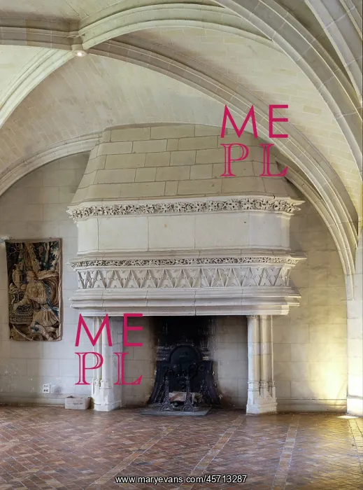 : Salle du Parlement, Chateau du Plessis-Bourre, Ecuille : Salle du Parlement, Chateau du Plessis-Bourre, Ecuille