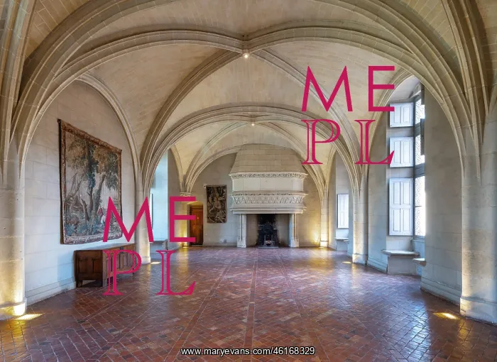 : Salle du Parlement, Chateau du Plessis-Bourre, Ecuille : Salle du Parlement, Chateau du Plessis-Bourre, Ecuille
