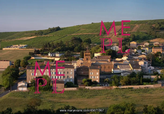 : Salles-Arbuissonnas-en-Beaujolais, Beaujolais, France : Salles-Arbuissonnas-en-Beaujolais, Beaujolais, France