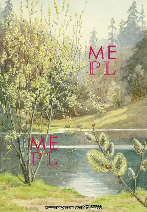  : Sallow in landscape with lake