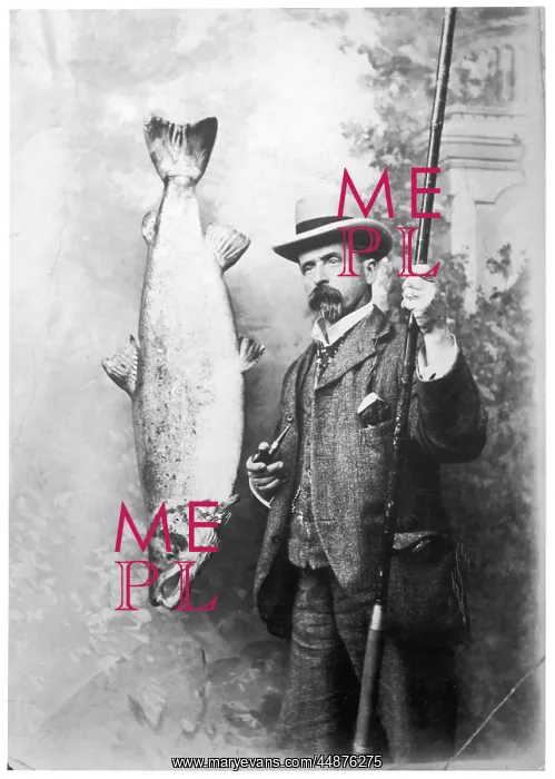 : SALMON CATCH : SALMON CATCH