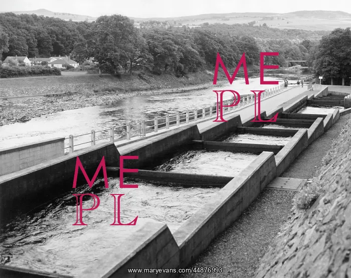 : SALMON FISH LADDER : SALMON FISH LADDER