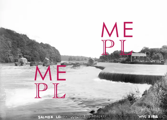 : Salmon Leap, Coleraine : Salmon Leap, Coleraine