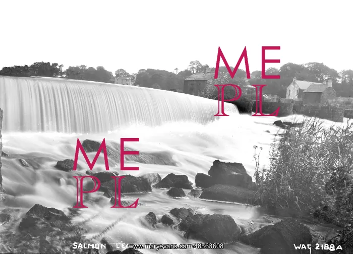 : Salmon Leap, Coleraine : Salmon Leap, Coleraine