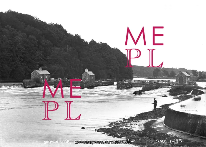 : Salmon Leap, R. Bann, Coleraine : Salmon Leap, R. Bann, Coleraine