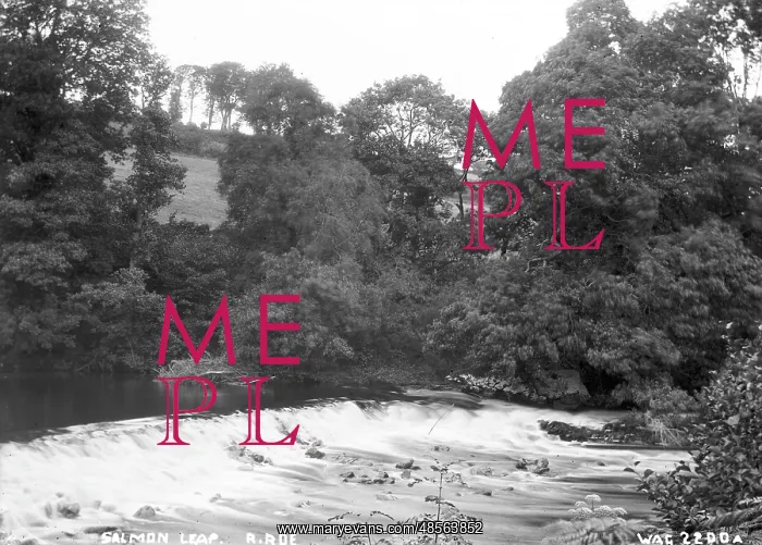 : Salmon Leap, R. Roe : Salmon Leap, R. Roe