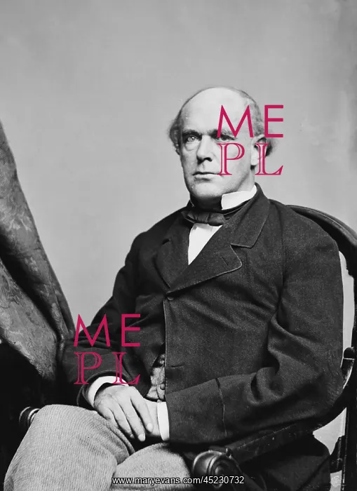 : Salmon P. Chase (1808-1873) unsuccessfully ? : Salmon P. Chase (1808-1873) unsuccessfully ?