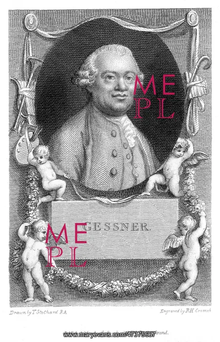 : SALOMON GESSNER - 3 : SALOMON GESSNER - 3
