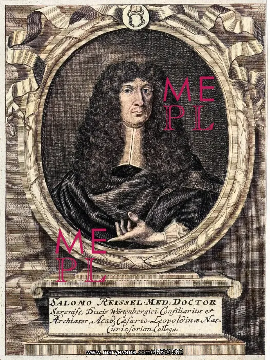 : SALOMON REISSEL : SALOMON REISSEL