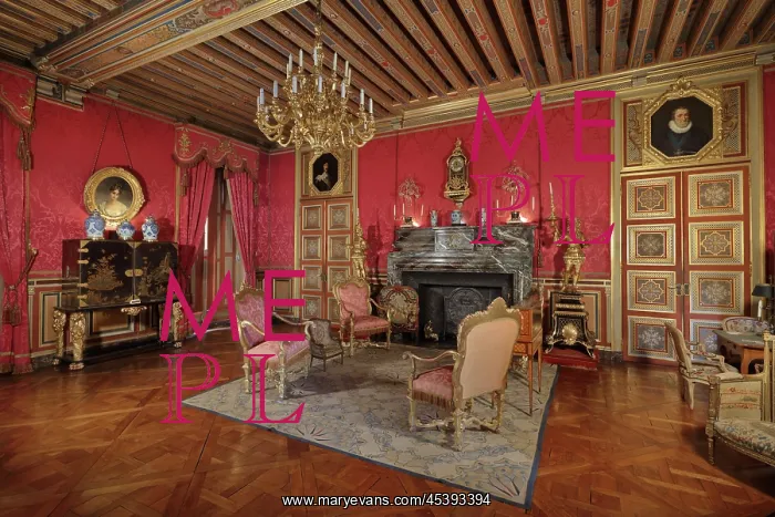 : Salon du Roi, Chateau de Maintenon, Eure-et-Loir, France : Salon du Roi, Chateau de Maintenon, Eure-et-Loir, France