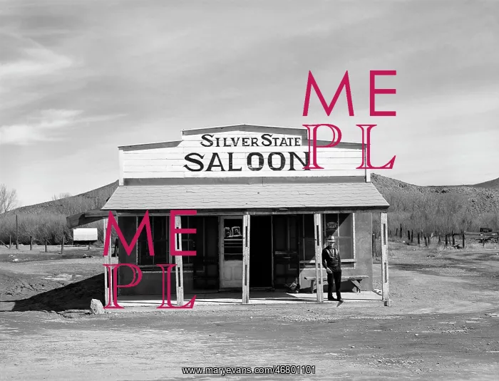 : Saloon - food and drink - Nevada : Saloon - food and drink - Nevada